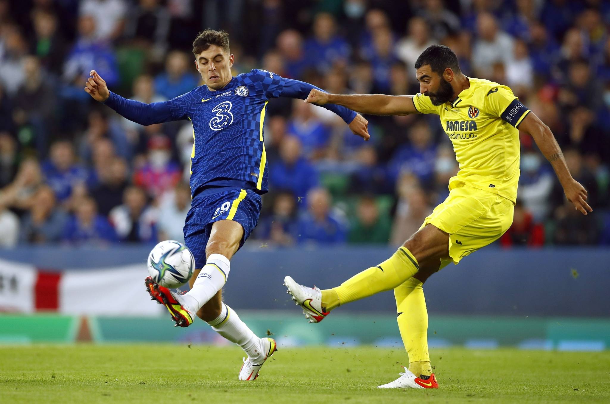 证明了自己 证明了自己